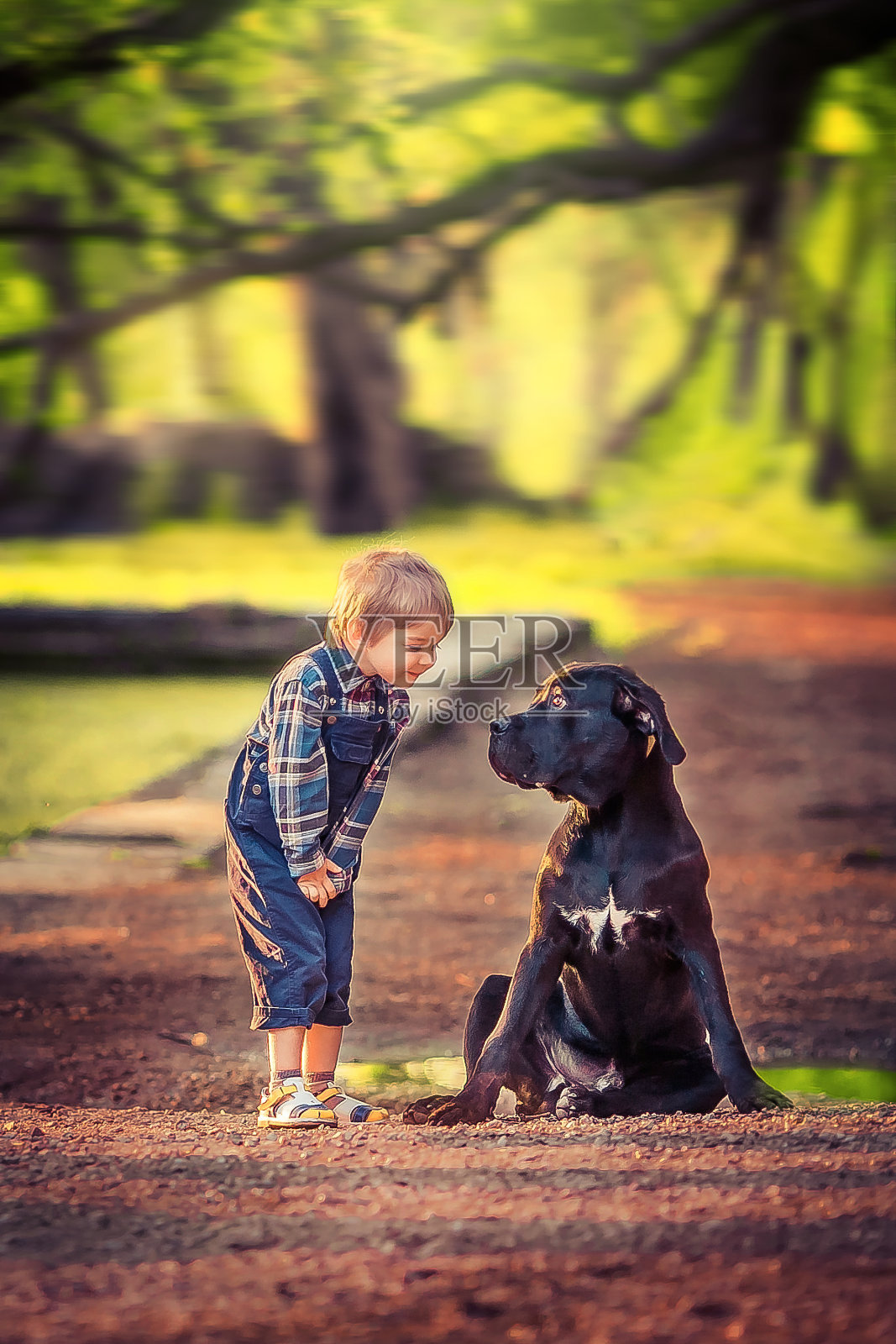 一个小孩带着狗在秋天的森林里散步照片摄影图片