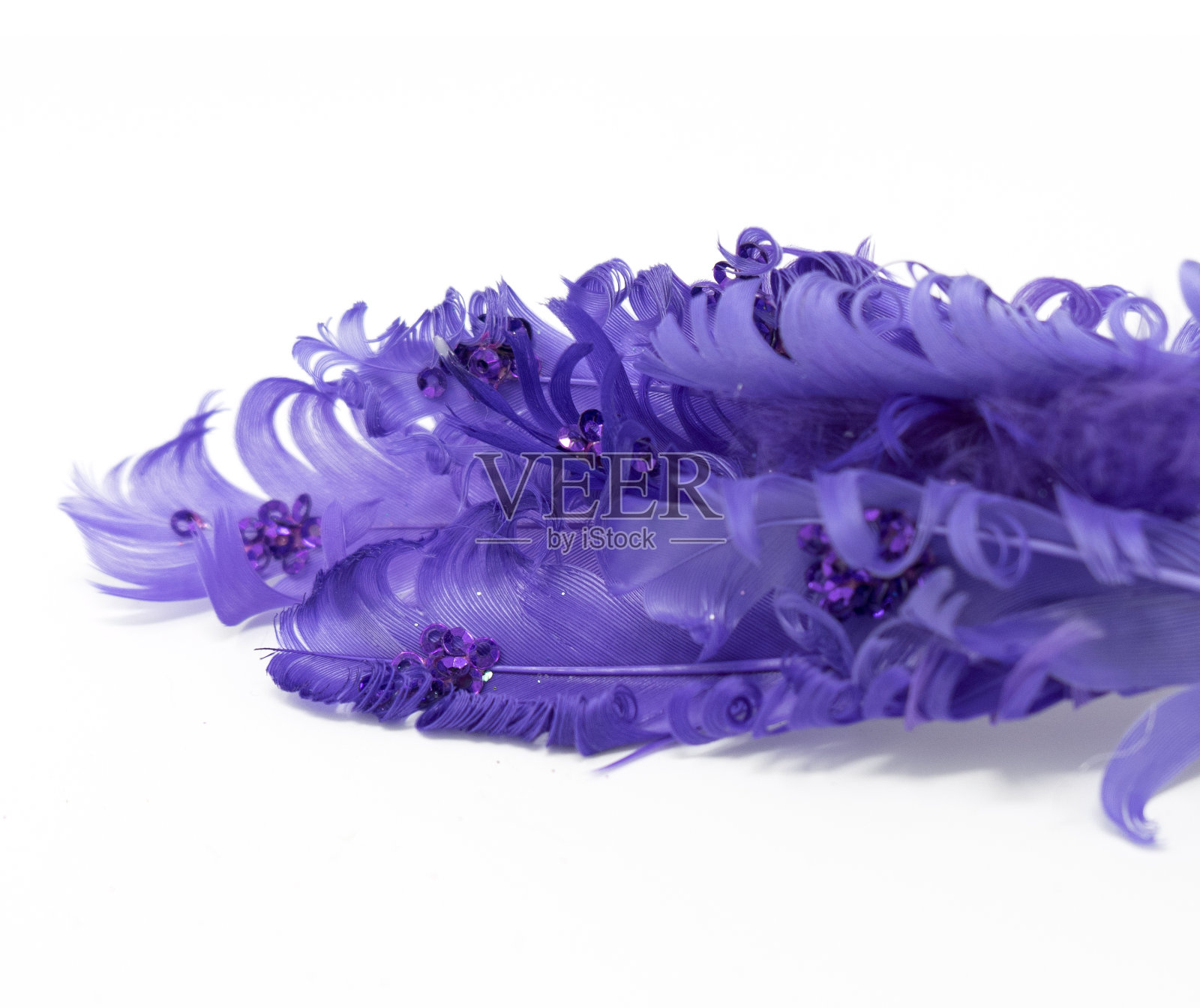 羽毛紫色设计元素接近照片摄影图片