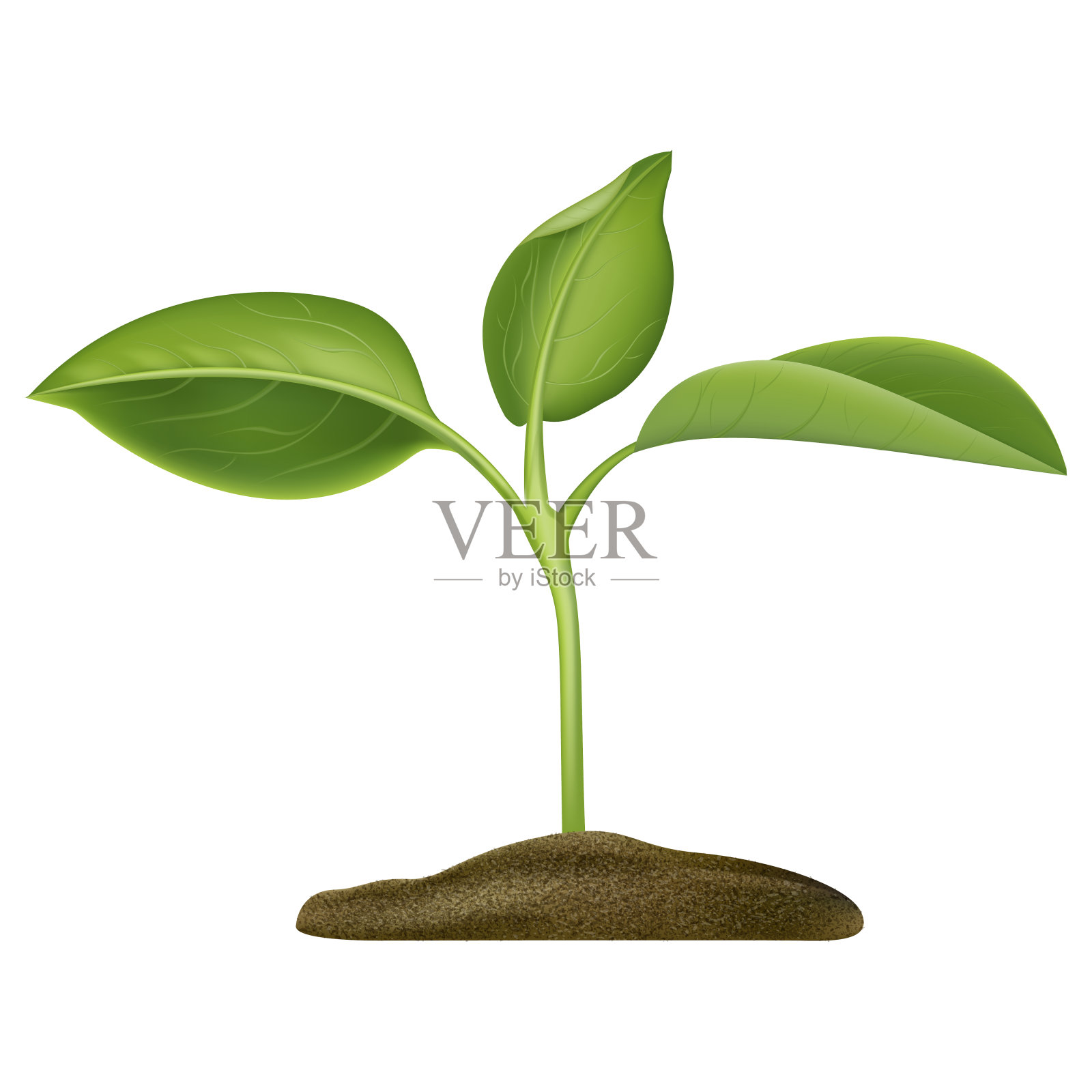 现实详细的3d绿色植物幼苗生长在土壤。向量设计元素图片