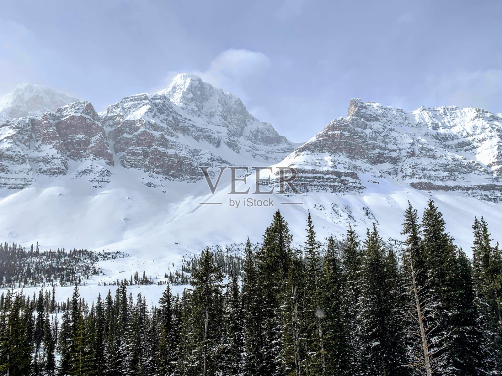 在加拿大阿尔伯塔省的落基山脉的冰原公园路上，一幅令人难以置信的画面，前景是一片深绿色的森林，背景是白雪覆盖的山峰照片摄影图片