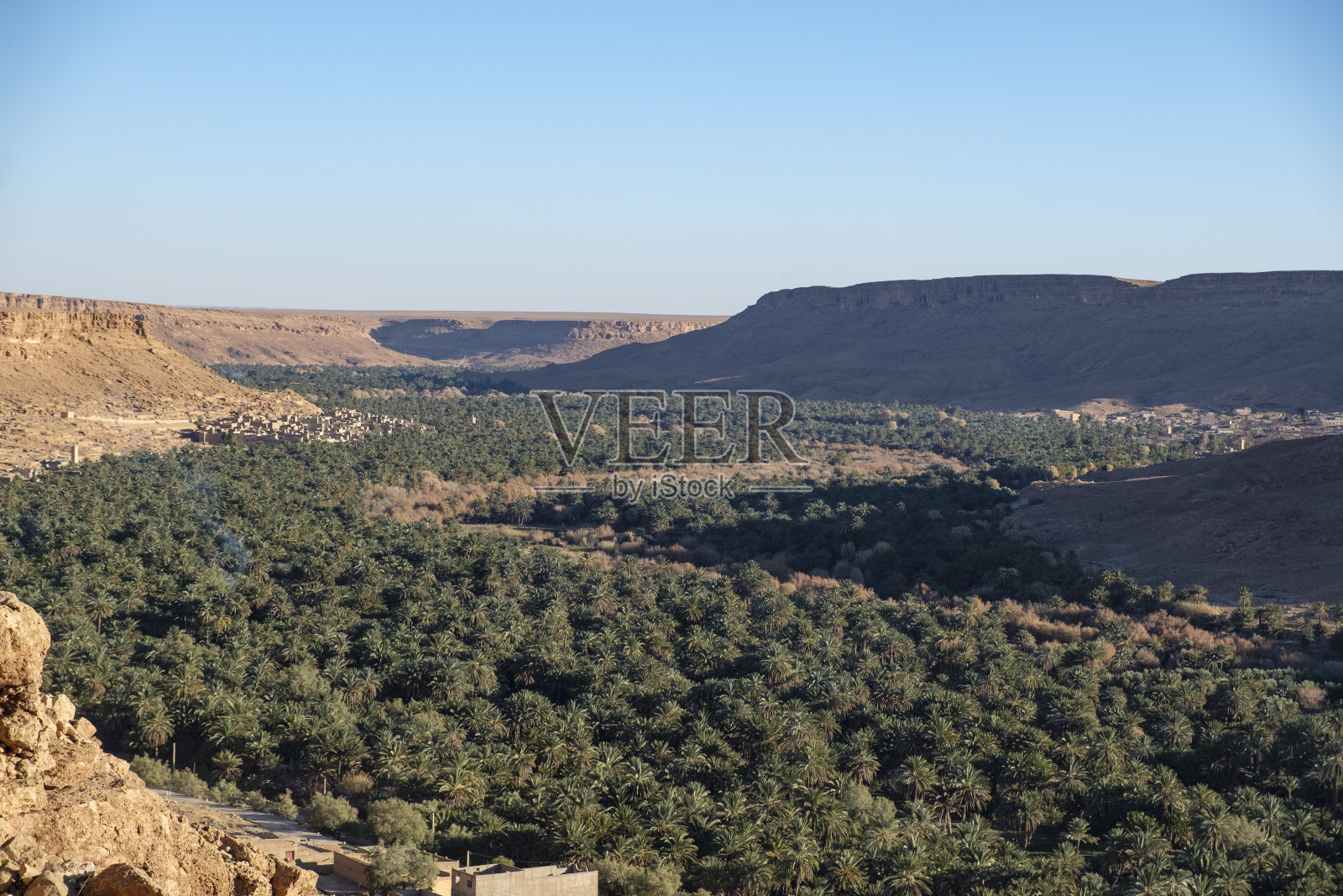 撒哈拉沙漠中的绿洲山谷照片摄影图片