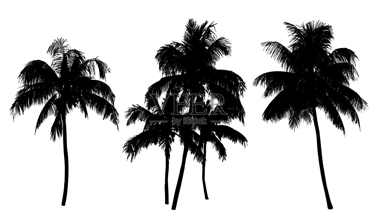 一组黑色剪影椰子树孤立在白色设计元素图片