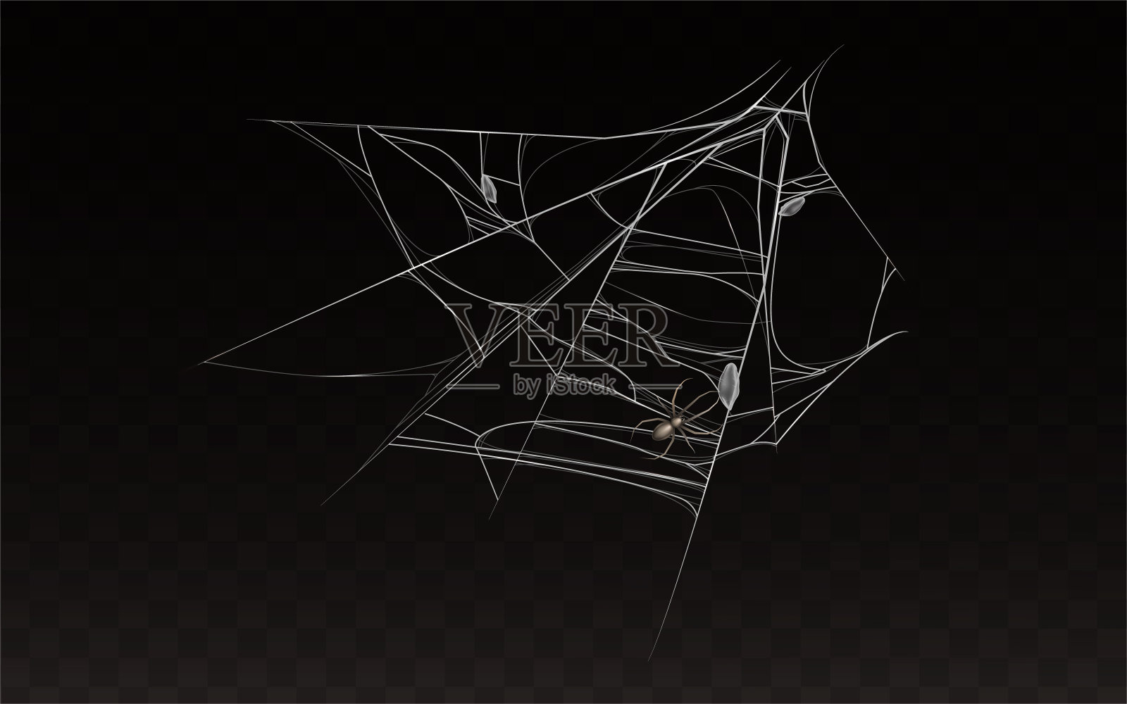 向量收集的现实网与蜘蛛插画图片素材