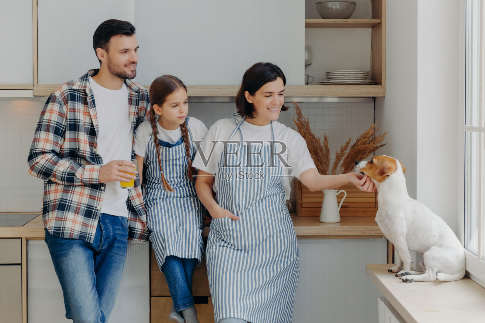 友好积极的家庭成员一起站在厨房，与狗玩耍，母亲和女儿穿围裙，父亲喝新鲜的果汁，享受家庭气氛。人、关系、家的概念照片摄影图片