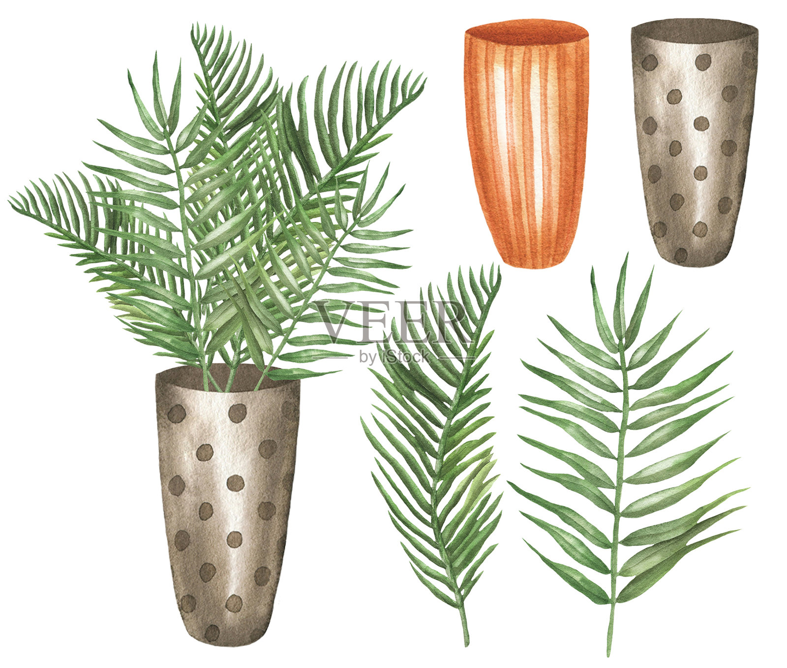 一套槟榔棕榈植物的叶子和盆栽。jpg插画图片素材