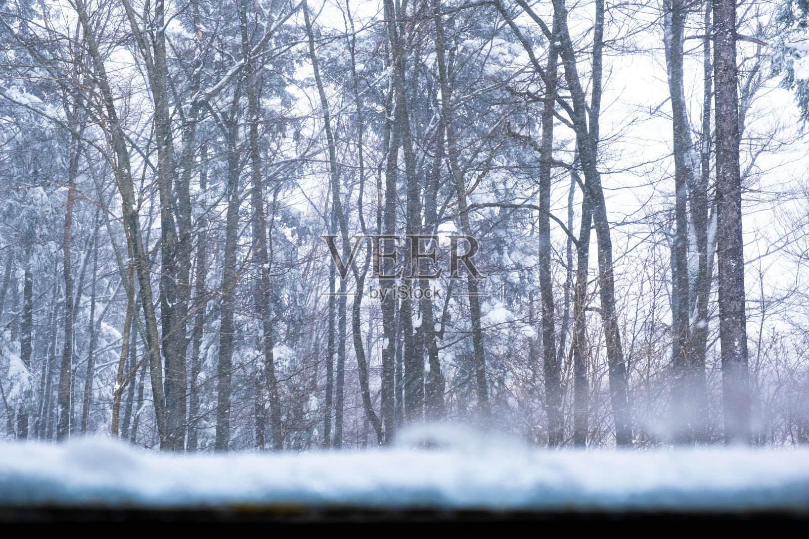 冬天树上结霜的雪花照片摄影图片