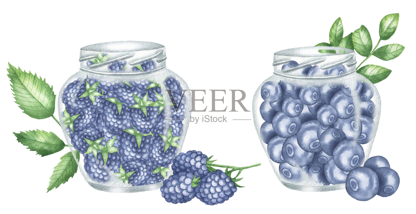 罐装蓝莓和黑莓。jpg插画图片素材