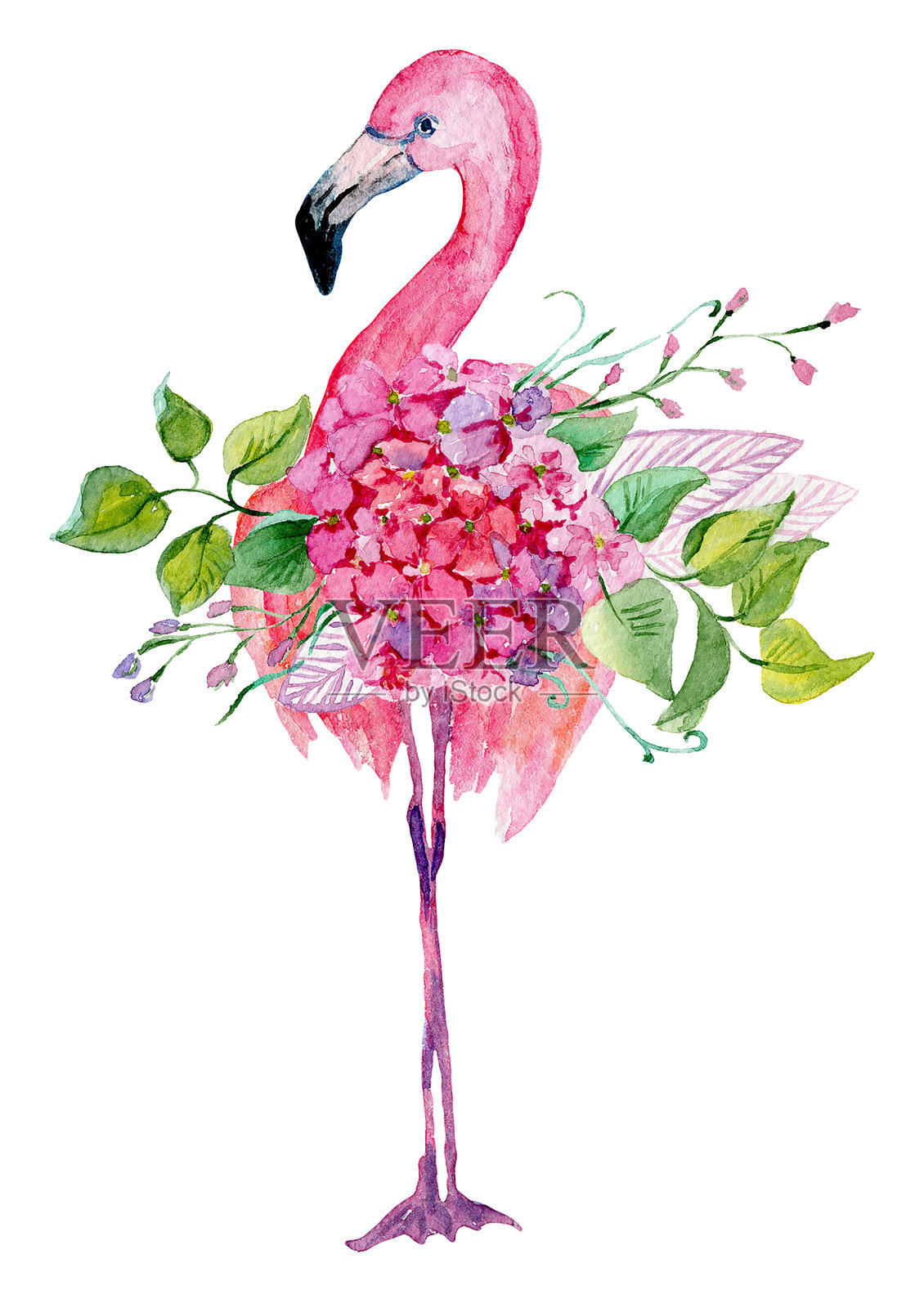 水彩画火烈鸟和花，为婚礼卡片，浪漫的印刷品，织物，纺织品和剪贴簿。插画图片素材