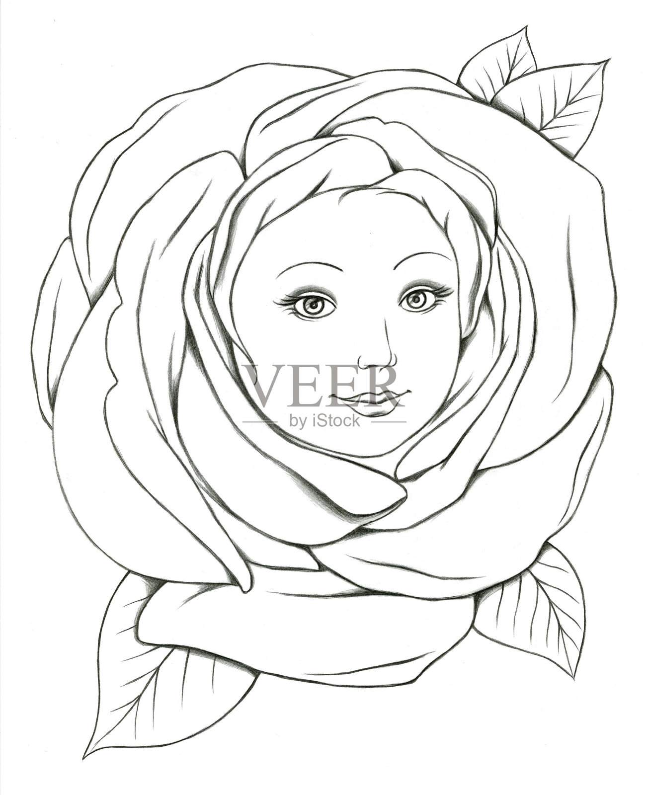 一个女孩的肖像在玫瑰的形象。用黑色铅笔手绘。适用于着色、印刷、明信片。说明股票。插画图片素材