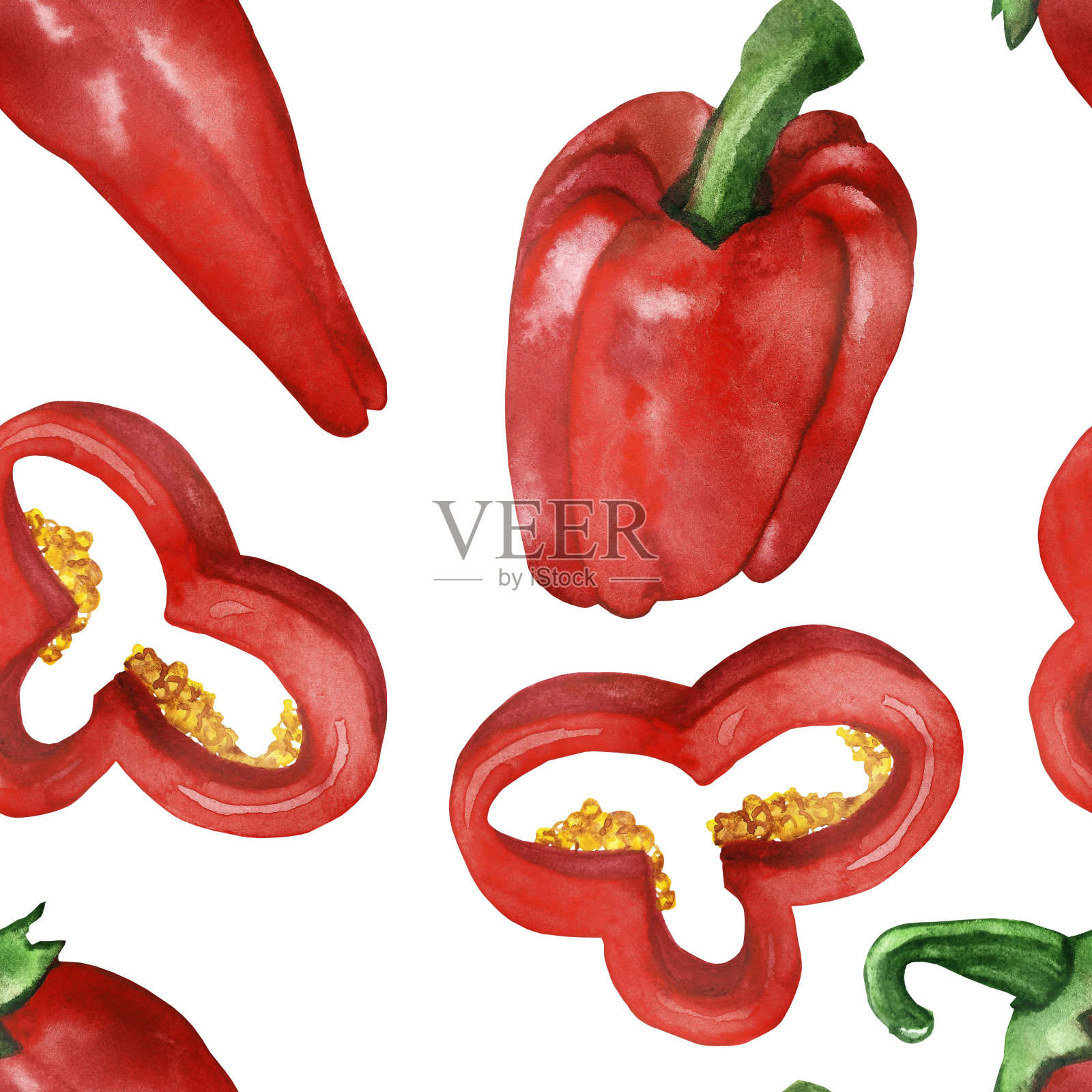 水彩手绘自然健康的素食，红钟和辣椒蔬菜和切片孤立在白色的背景，时尚的夏季印花为设计元素插画图片素材