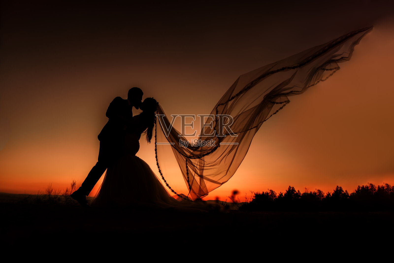 日落时新娘和新郎接吻的剪影。面纱在飞扬。照片摄影图片