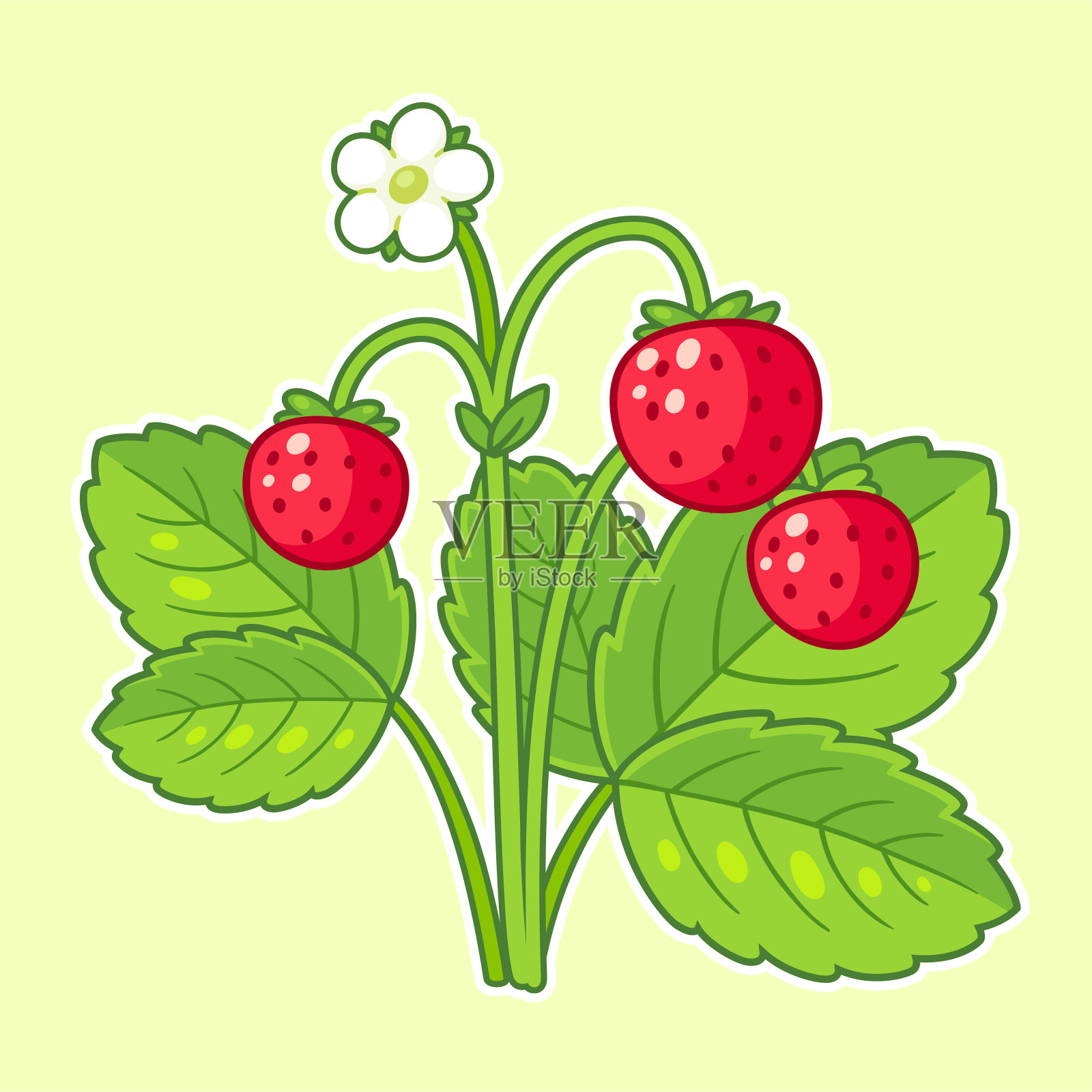 野生草莓植物插画图片素材