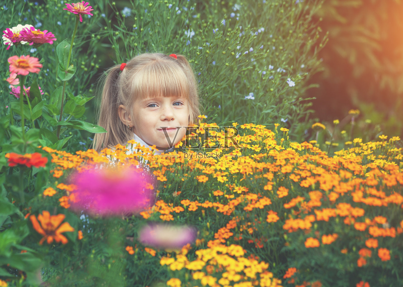 小女孩躲在夏日花园的花中照片摄影图片