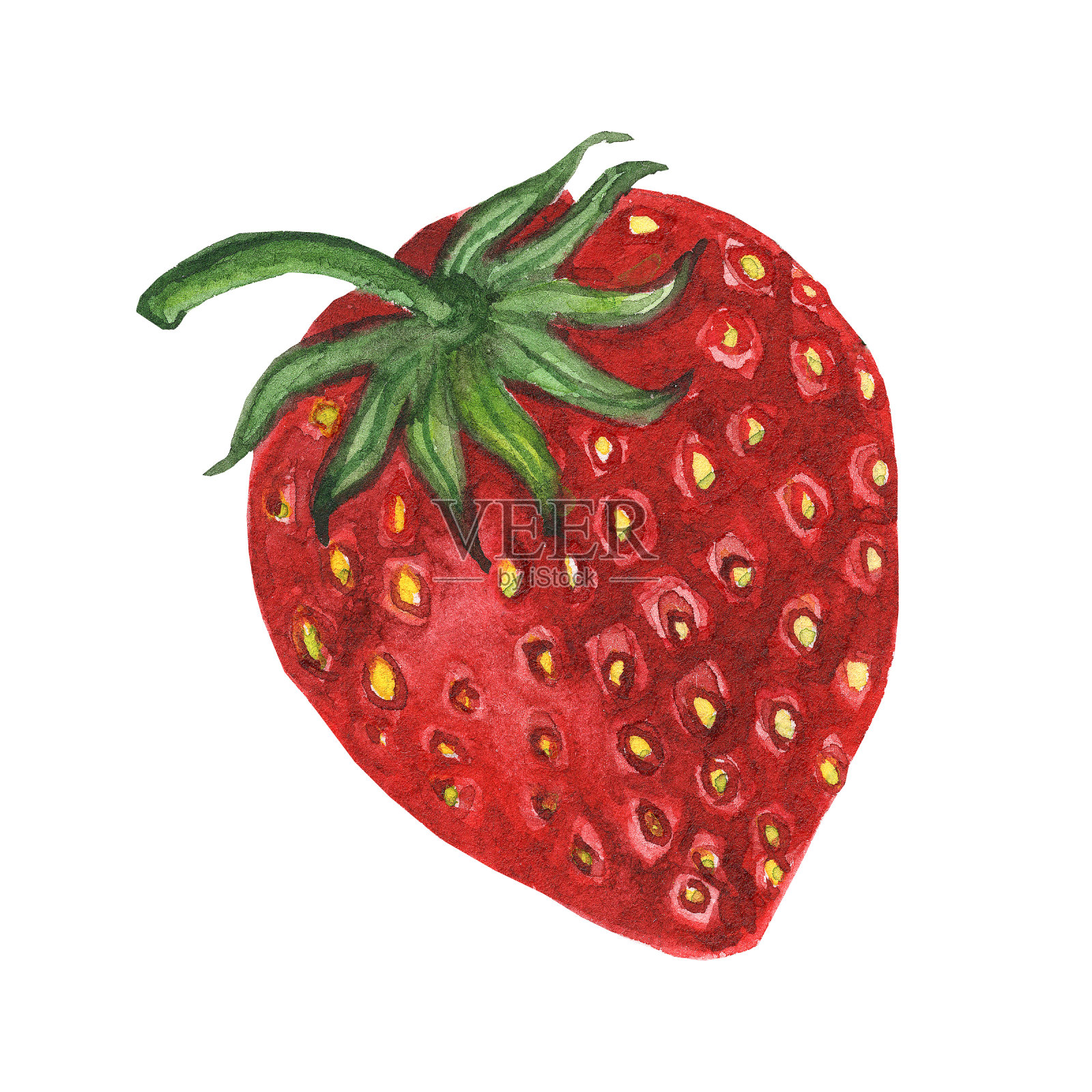 红色的草莓。水彩手绘插图孤立的白色背景。插画图片素材