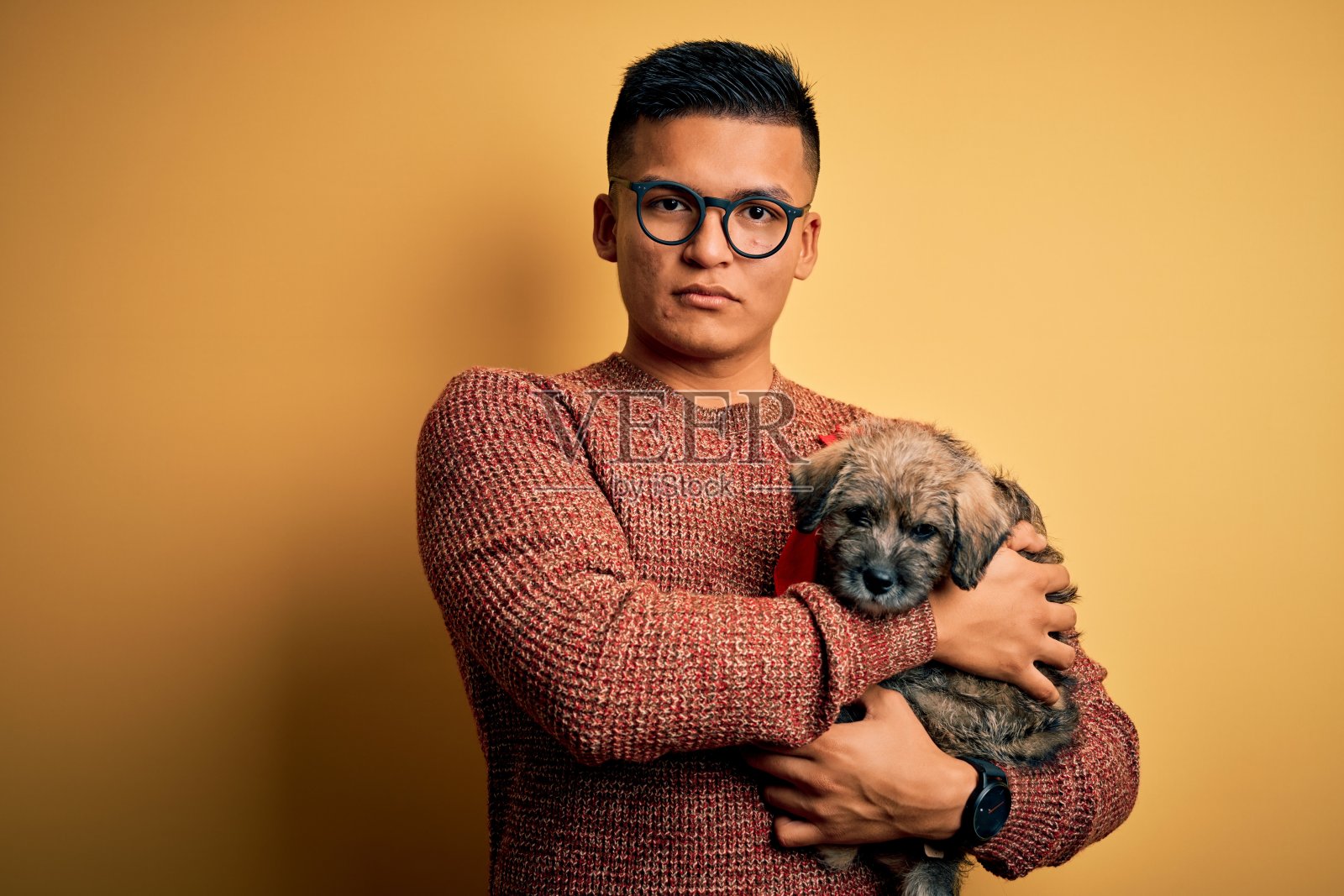年轻英俊的拉丁男子抱着可爱的小狗宠物在孤立的黄色背景与自信的表情在聪明的脸上思考严肃照片摄影图片