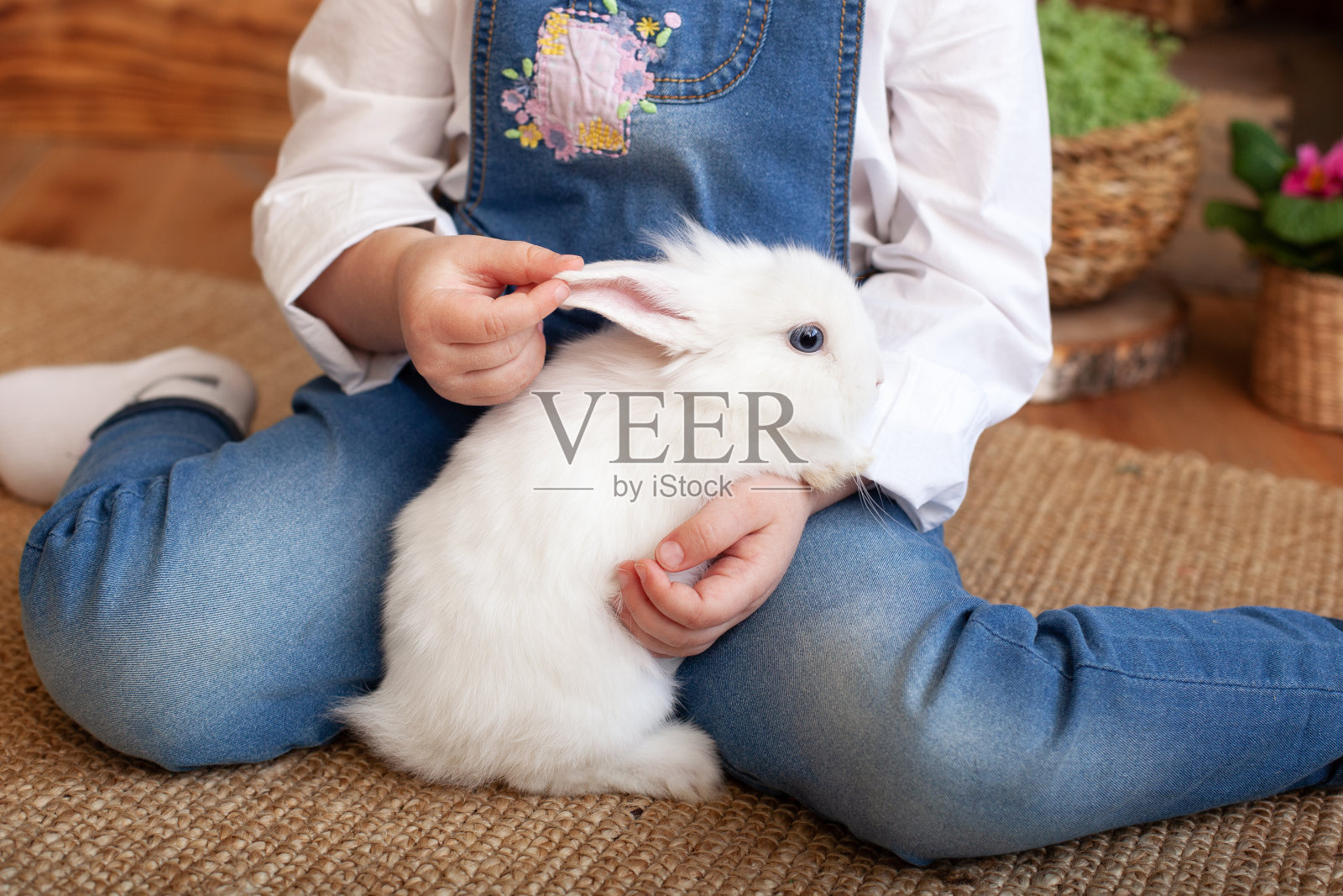小女孩抱着可爱毛茸茸的兔子，特写。可爱的毛绒绒的白色小兔子在手里的孩子。可爱的宠物兔子被他的主人拥抱着。友谊。对动物的爱的概念。医疗保健。复活节照片摄影图片
