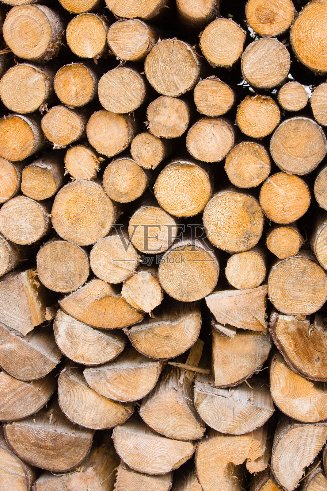 木材纹理。切割的原木的背景。照片摄影图片