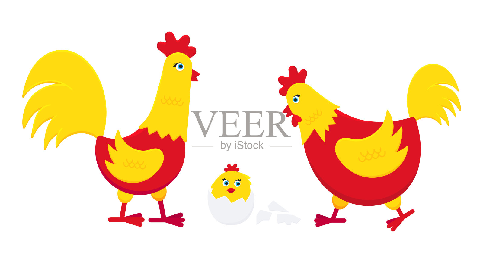 黄鸡配红鸡碎蛋和公鸡扁鸡设计矢量插画。鸡是农场家禽的象征符号。被隔离在白色背景上的家禽。插画图片素材