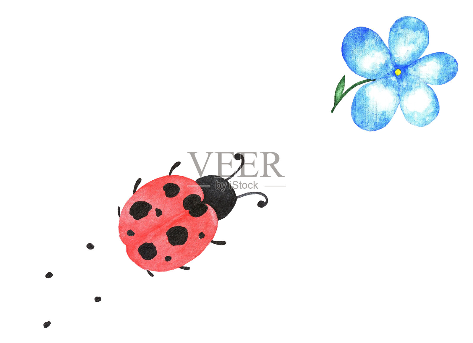 瓢虫和花，水彩画插画图片素材
