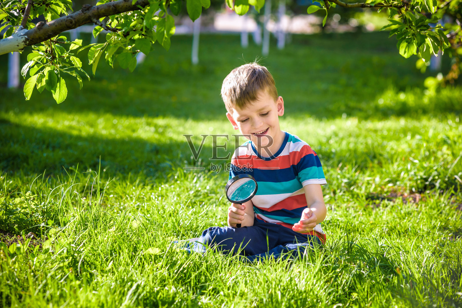 一个男孩在花园里的肖像，通过放大镜观察植物。照片摄影图片