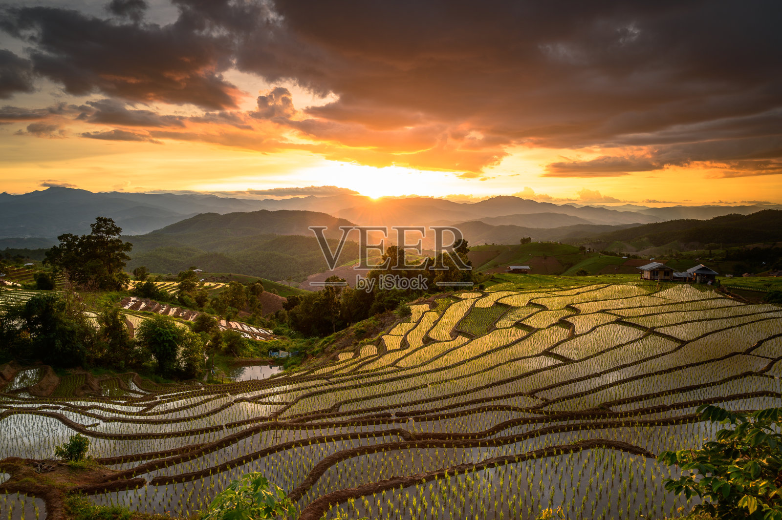 泰国清迈班邦片的日落稻田照片摄影图片