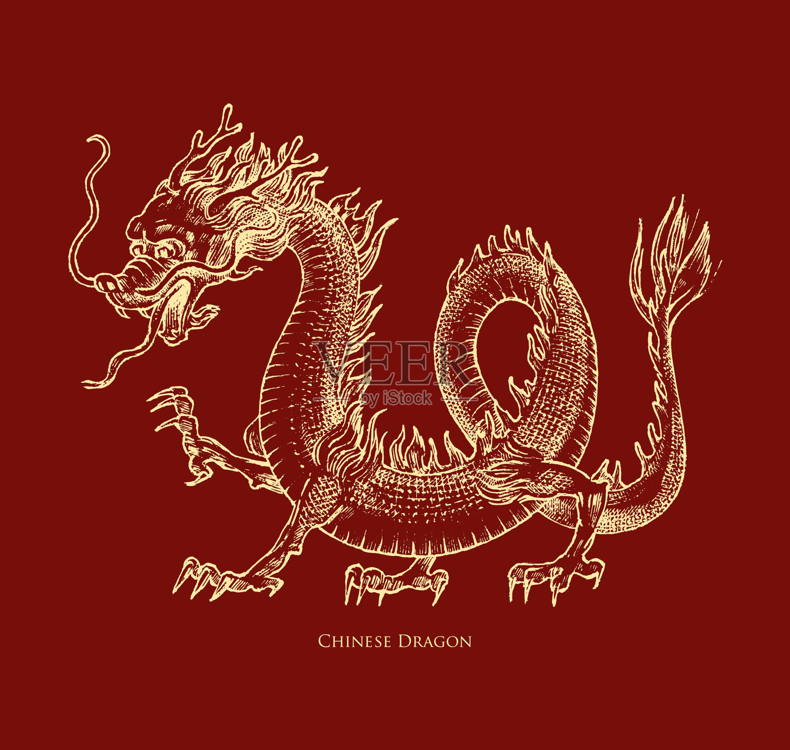 中国龙是一种神话动物或亚洲动物插画图片素材
