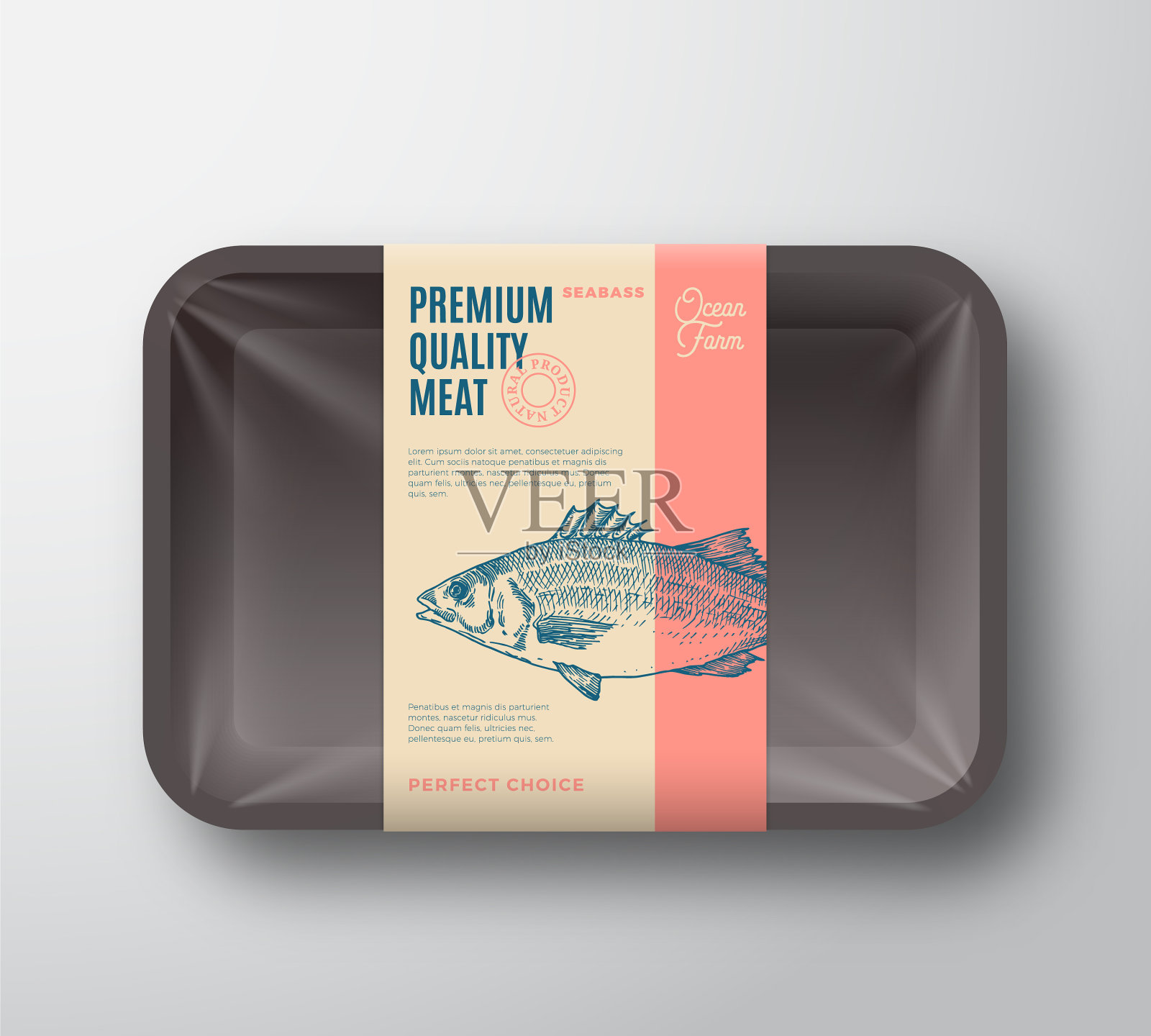 优质海鲈鱼包装摘要插画图片素材