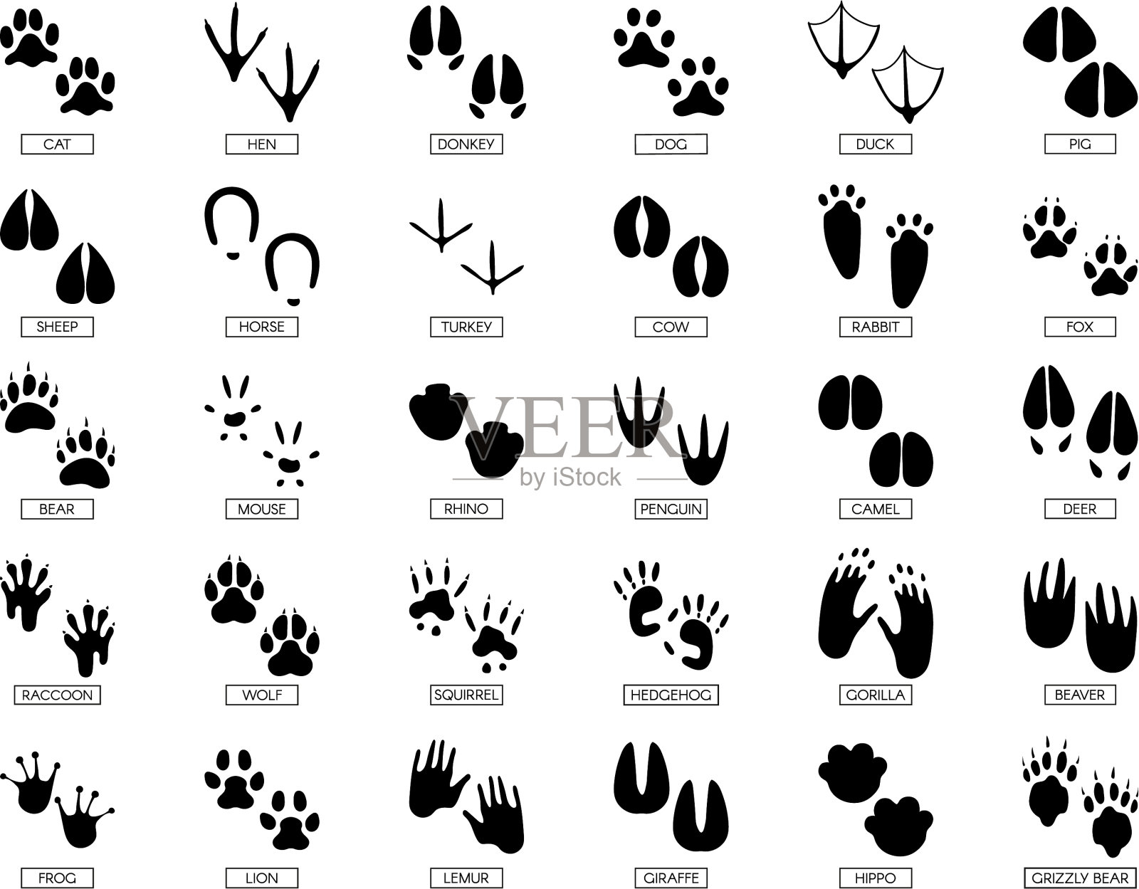 动物爪印描绘出兔子的脚印插画图片素材_ID:423770367-Veer图库