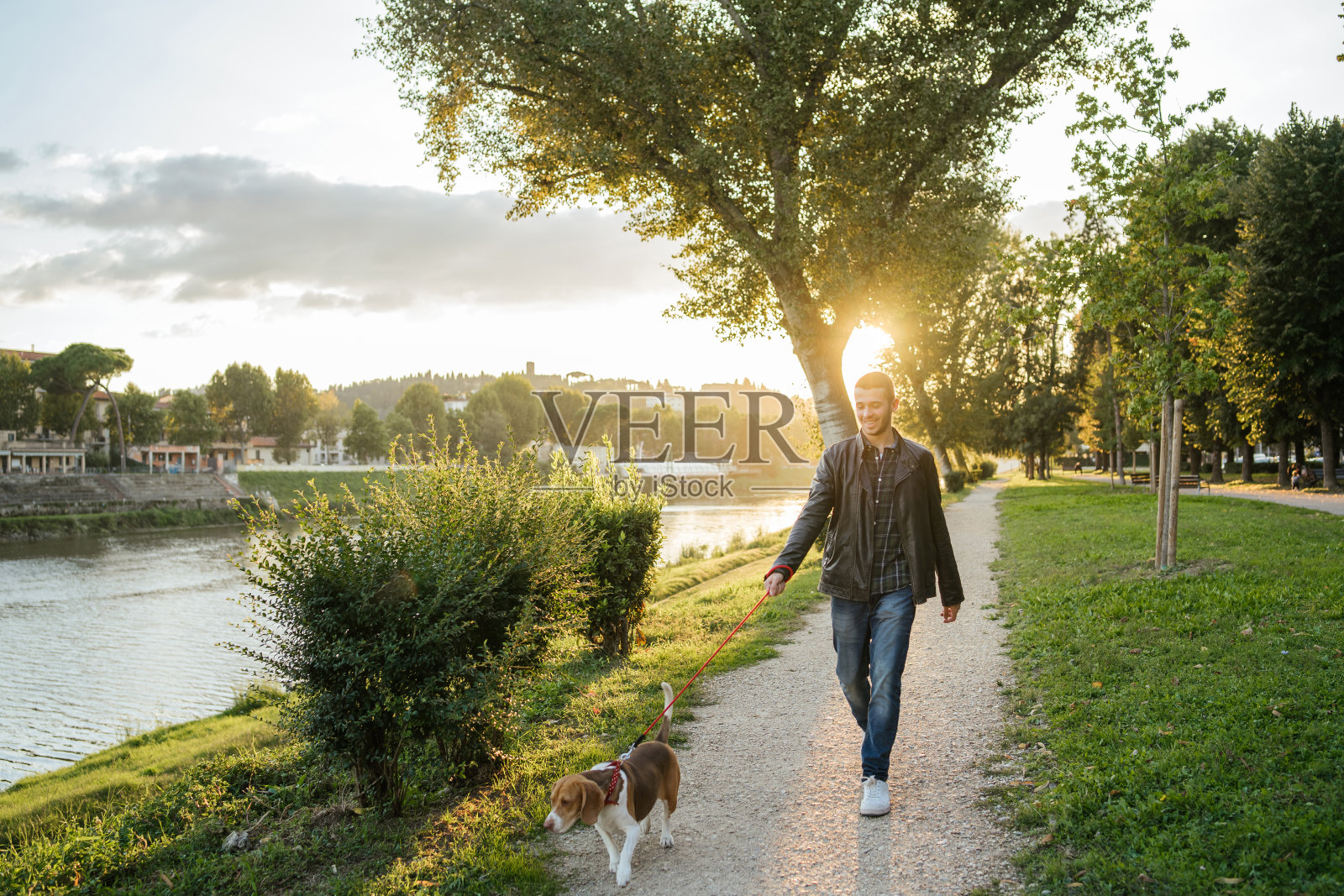 日落时分，一个年轻人带着他心爱的狗去公园散步——千禧和他的四条腿的朋友一起放松照片摄影图片