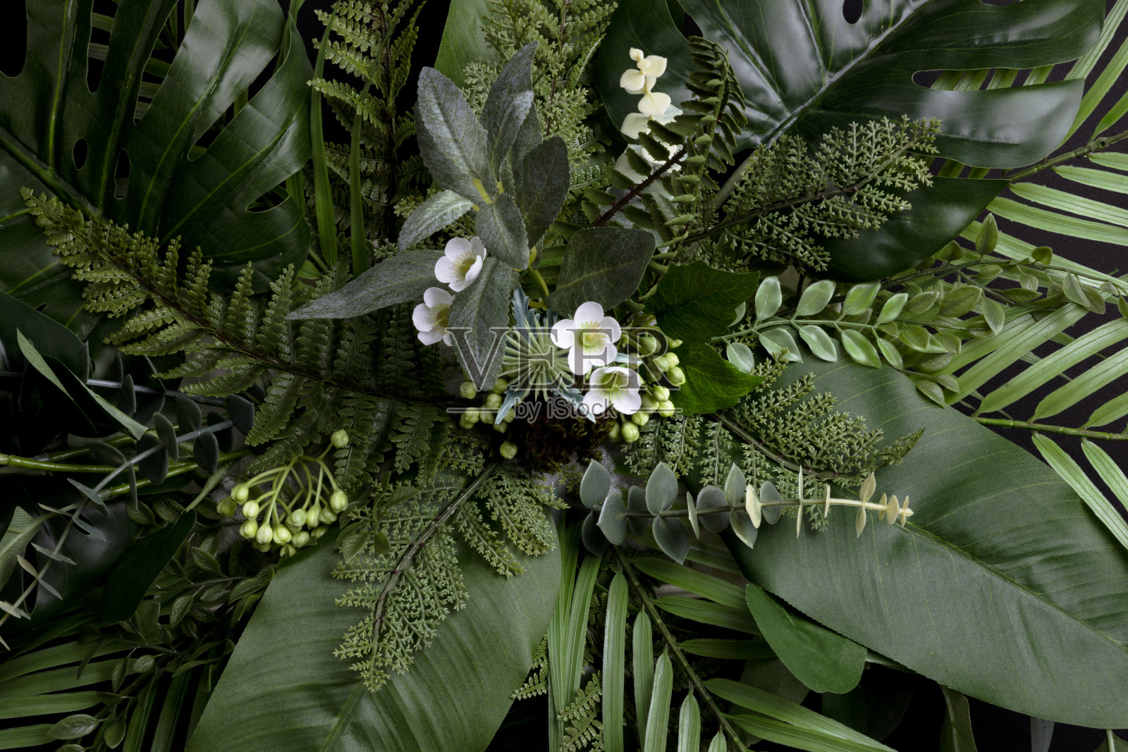 热带叶与黑色拷贝空间背景。自然和夏季概念照片摄影图片