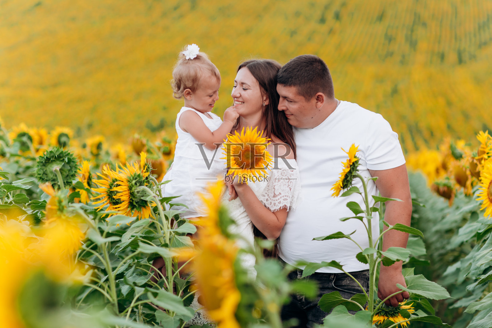 快乐的一家人在向日葵地里玩耍。父亲抱着女儿。妈妈拿着向日葵。户外拍摄。有选择性的重点照片摄影图片