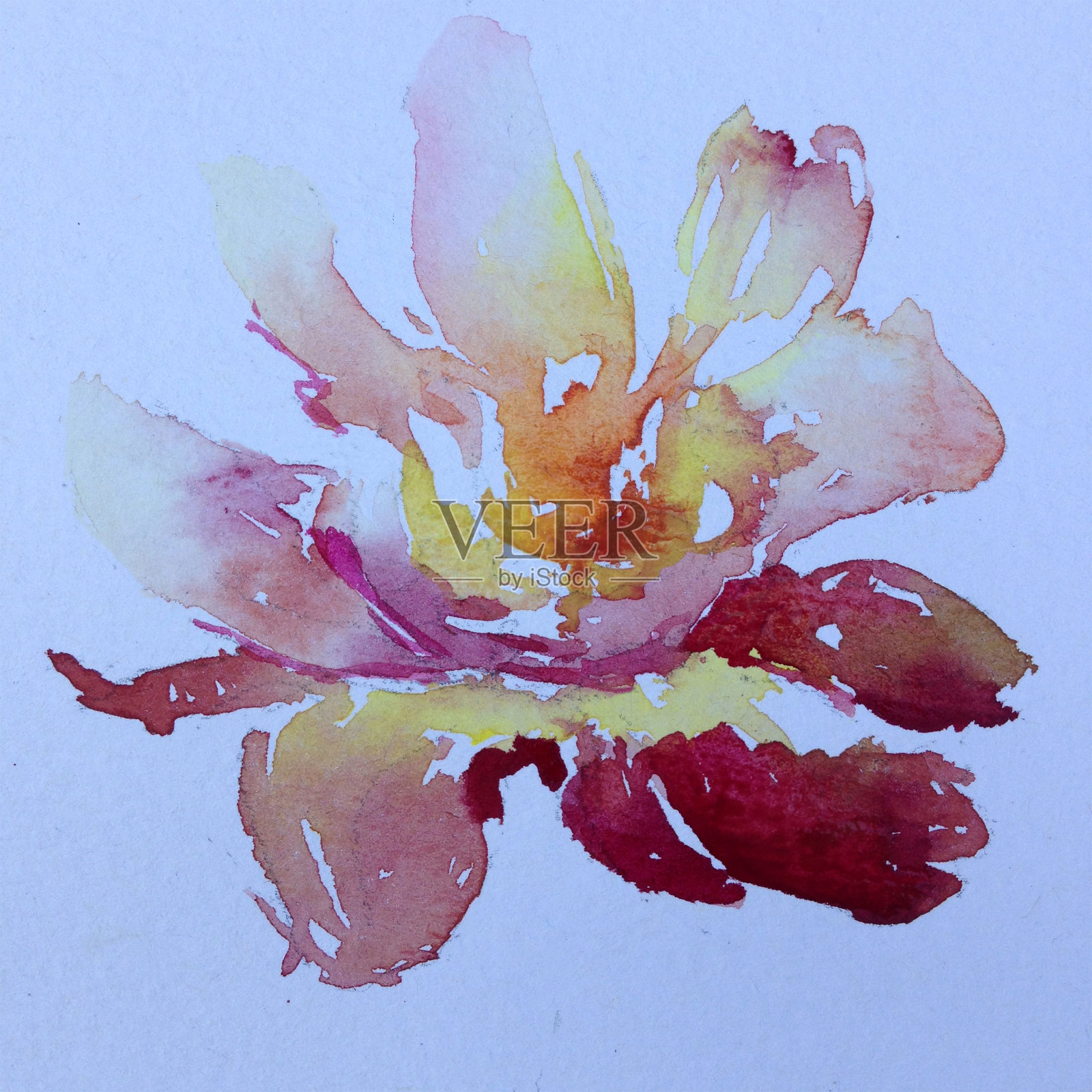 手工花卉图案。美丽温柔浪漫的春天单玫瑰花插画图片素材