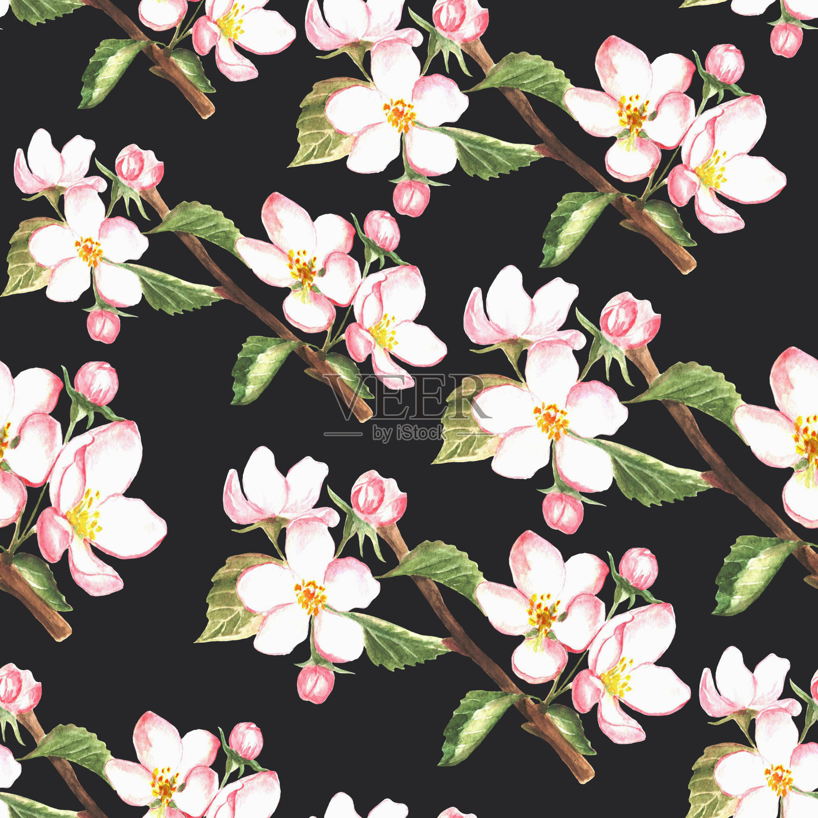 水彩苹果树花。春天的花。无缝模式的粉红色花在黑色的背景。插画图片素材