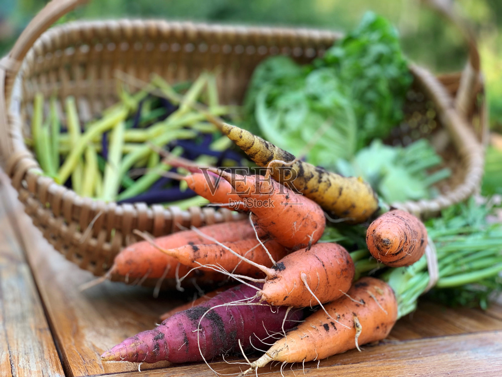 篮子自家的农产品和从有机花园采摘的新鲜胡萝卜照片摄影图片
