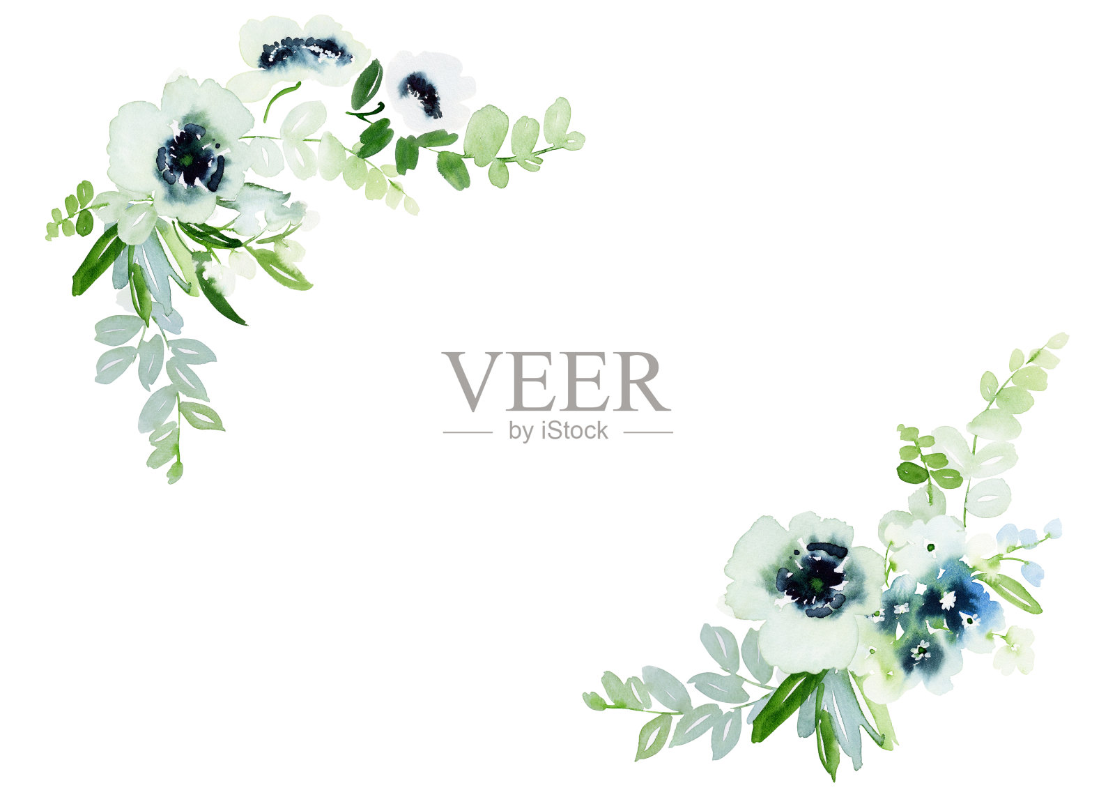 水彩画卡与海葵在白色的背景为婚礼请柬。插画图片素材