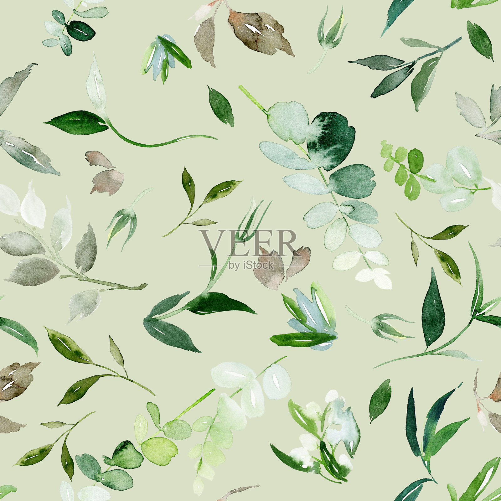 无缝模式与叶和植物插画图片素材