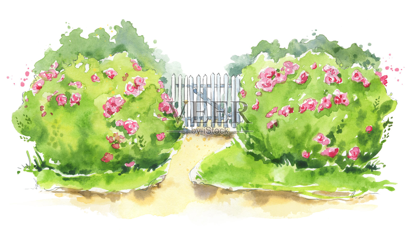 水彩画的一个木制花园大门与玫瑰丛设计元素图片