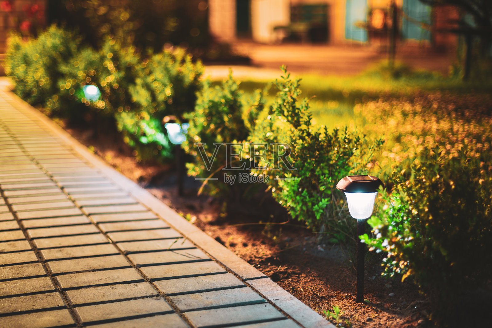 太阳能节能灯照明下的花坛夜景照片摄影图片