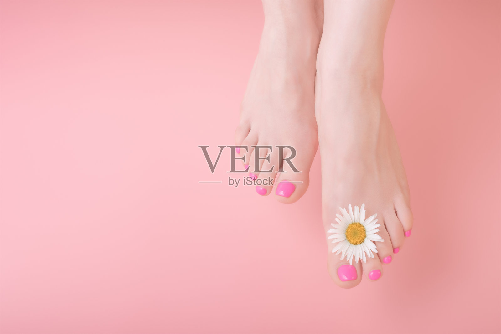 女人的腿与明亮的足疗在粉红色的背景。洋甘菊花卉装饰。Spa足疗护肤理念照片摄影图片