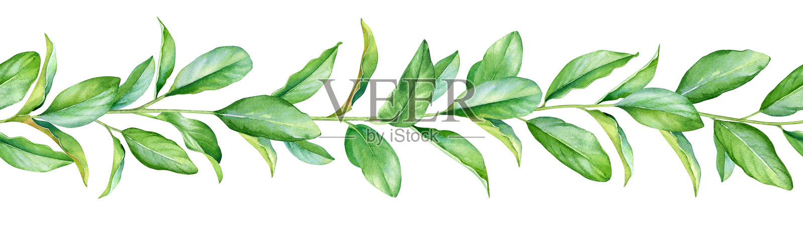 无缝模式与水彩嫩枝与绿色的叶子插画图片素材