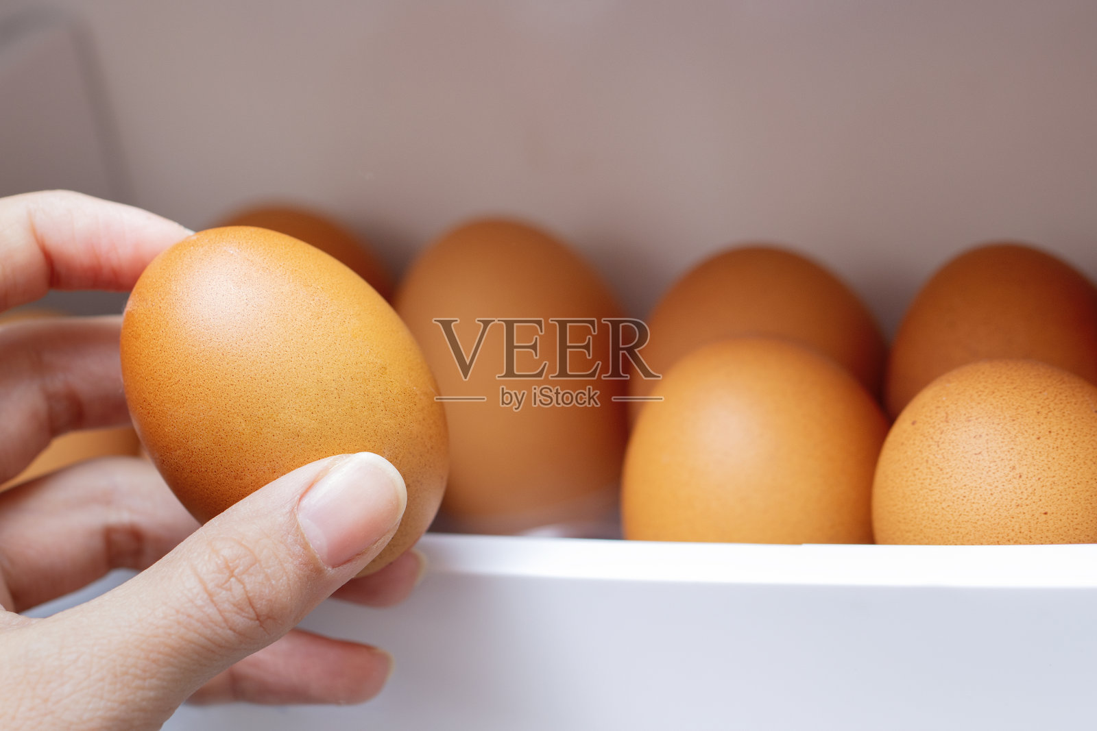 鸡蛋在冰箱里照片摄影图片