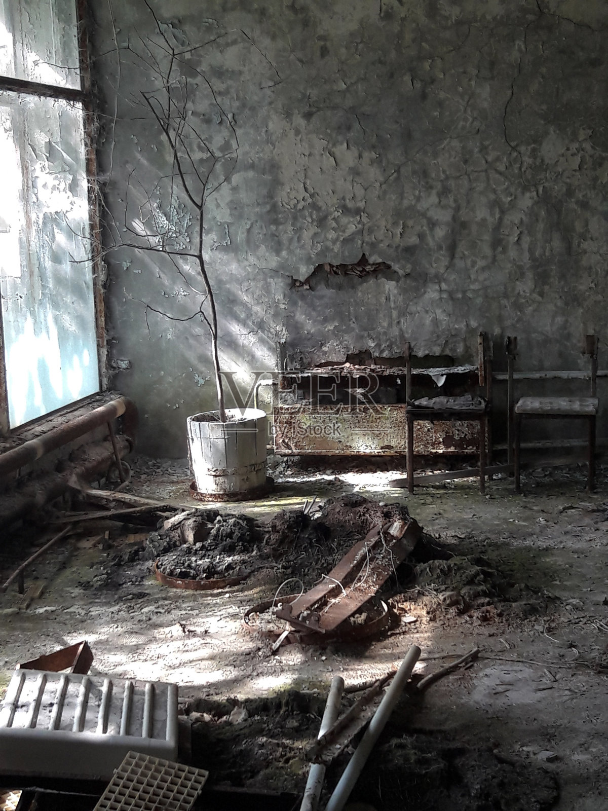 一间废弃的房子，窗户附近有生锈的东西和一棵死树照片摄影图片
