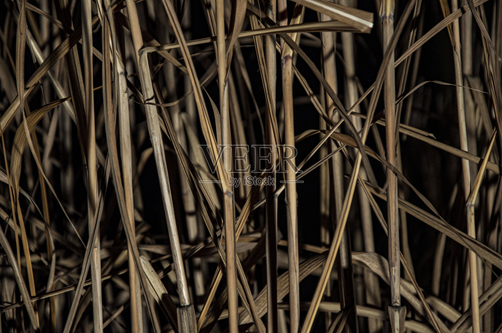 夜间干燥的褐色草。照片摄影图片