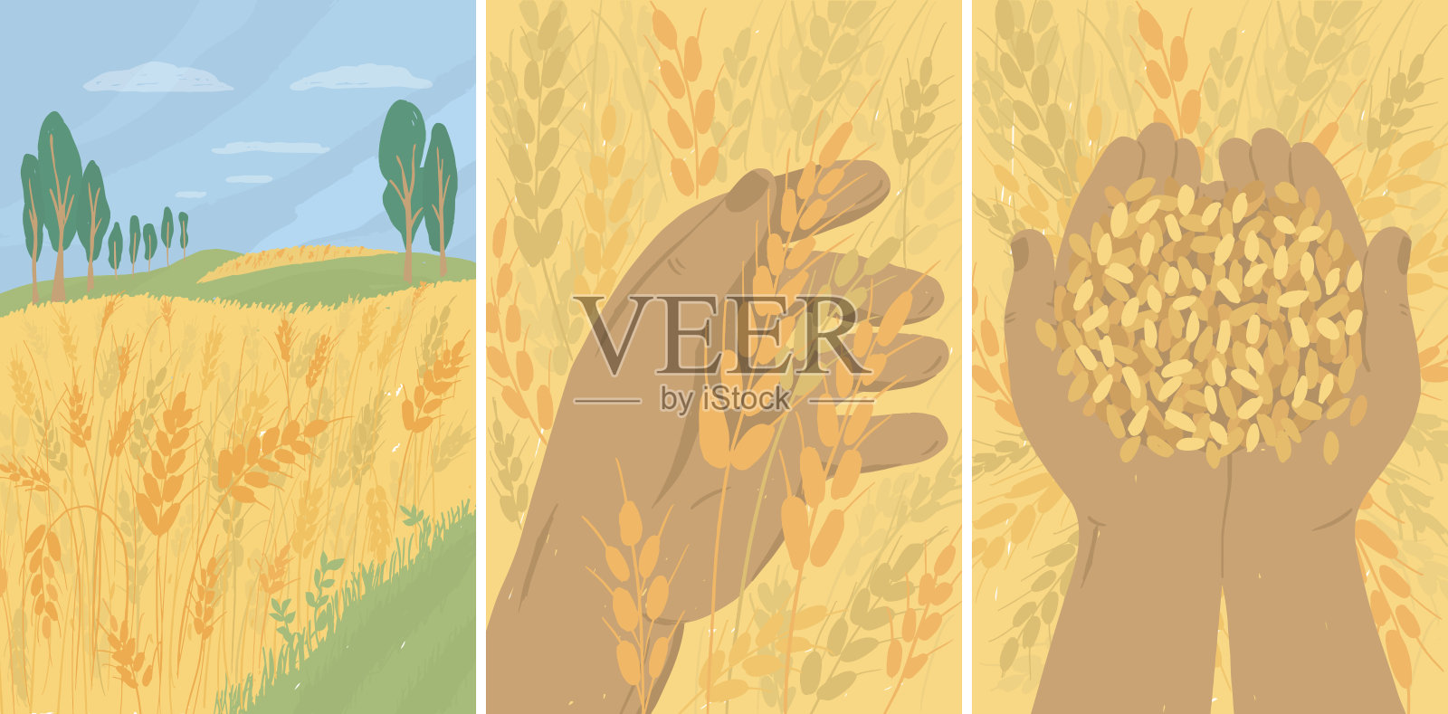 插图一套，农田和农民拿着麦穗和成熟的麦粒插画图片素材