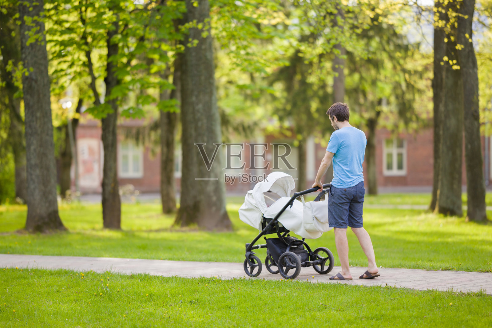 一位年轻的父亲推着一辆白色婴儿车，在温暖、阳光明媚的夏日，慢慢地走在镇绿公园。花时间陪婴儿，呼吸新鲜空气。享受漫步。照片摄影图片