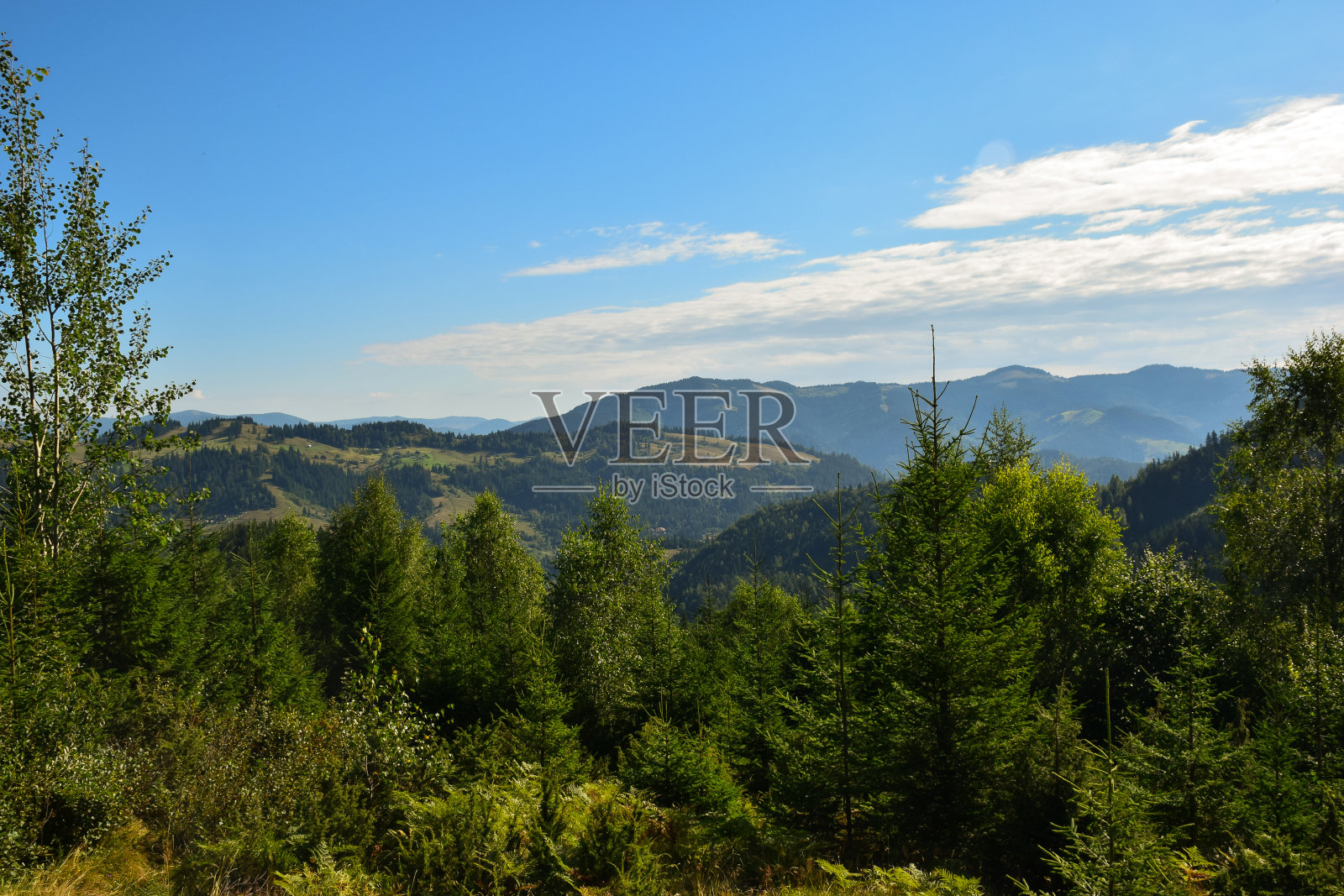 从山顶俯瞰山谷，背景是绿色的山脉，蓝天白云和树木照片摄影图片