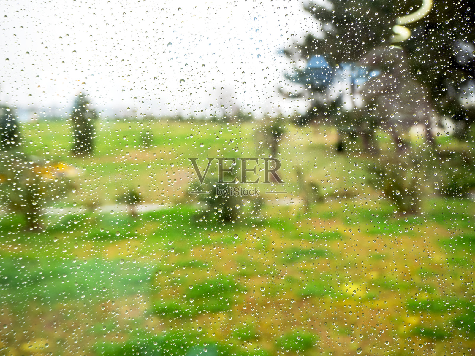 透过湿漉漉的玻璃，雨点落在绿色草地和树木上。抽象的观点照片摄影图片