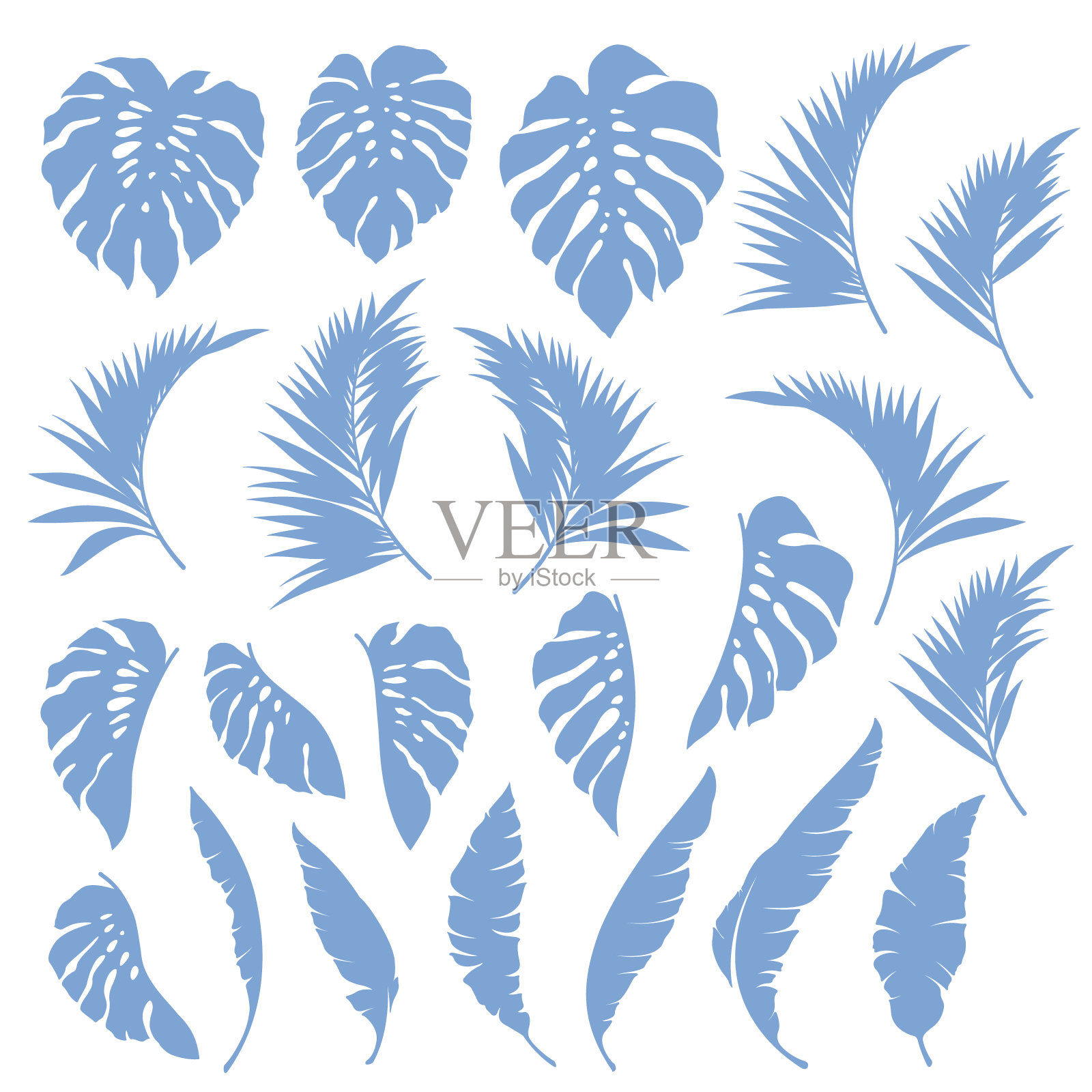 美丽的热带植物背景插图材料，插画图片素材