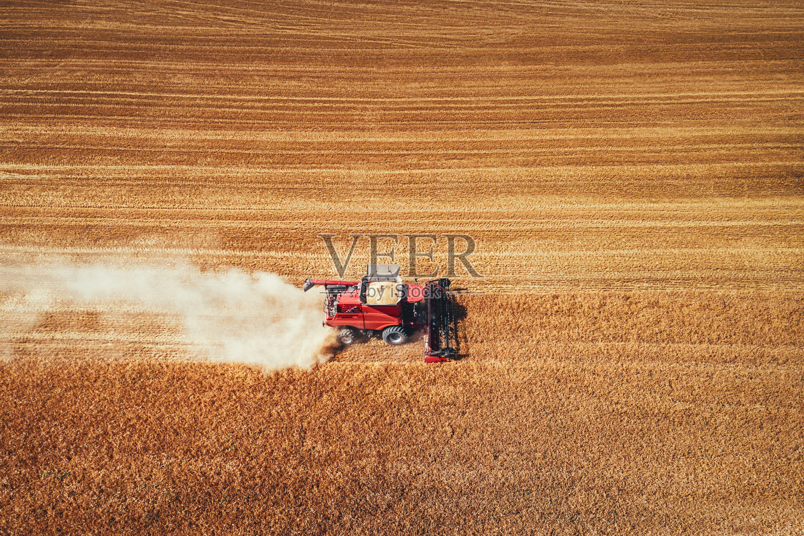 联合收割机农业机械收获金黄成熟的麦田照片摄影图片