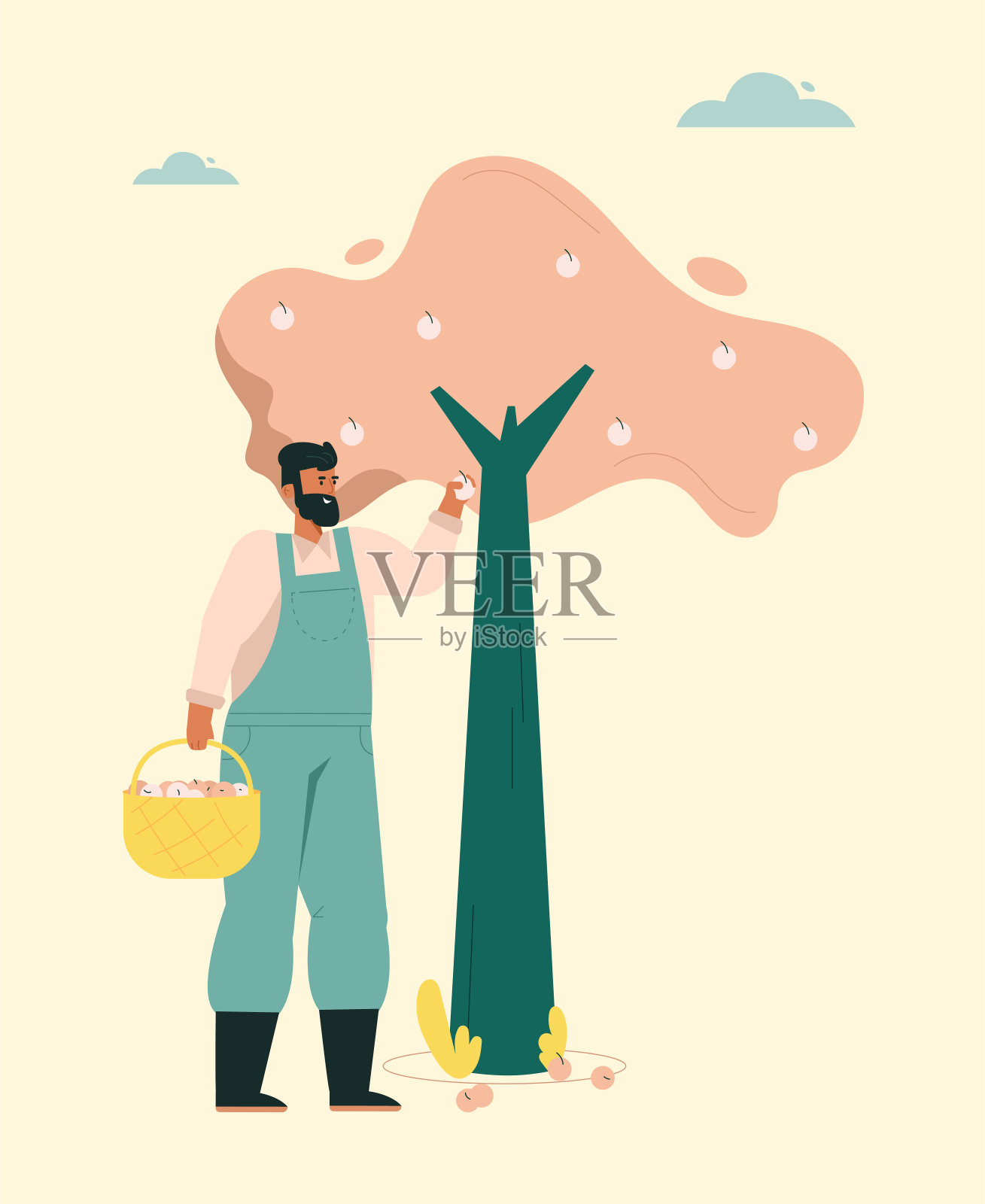 男人摘苹果水果，女人园艺，农民在农场工作插画图片素材